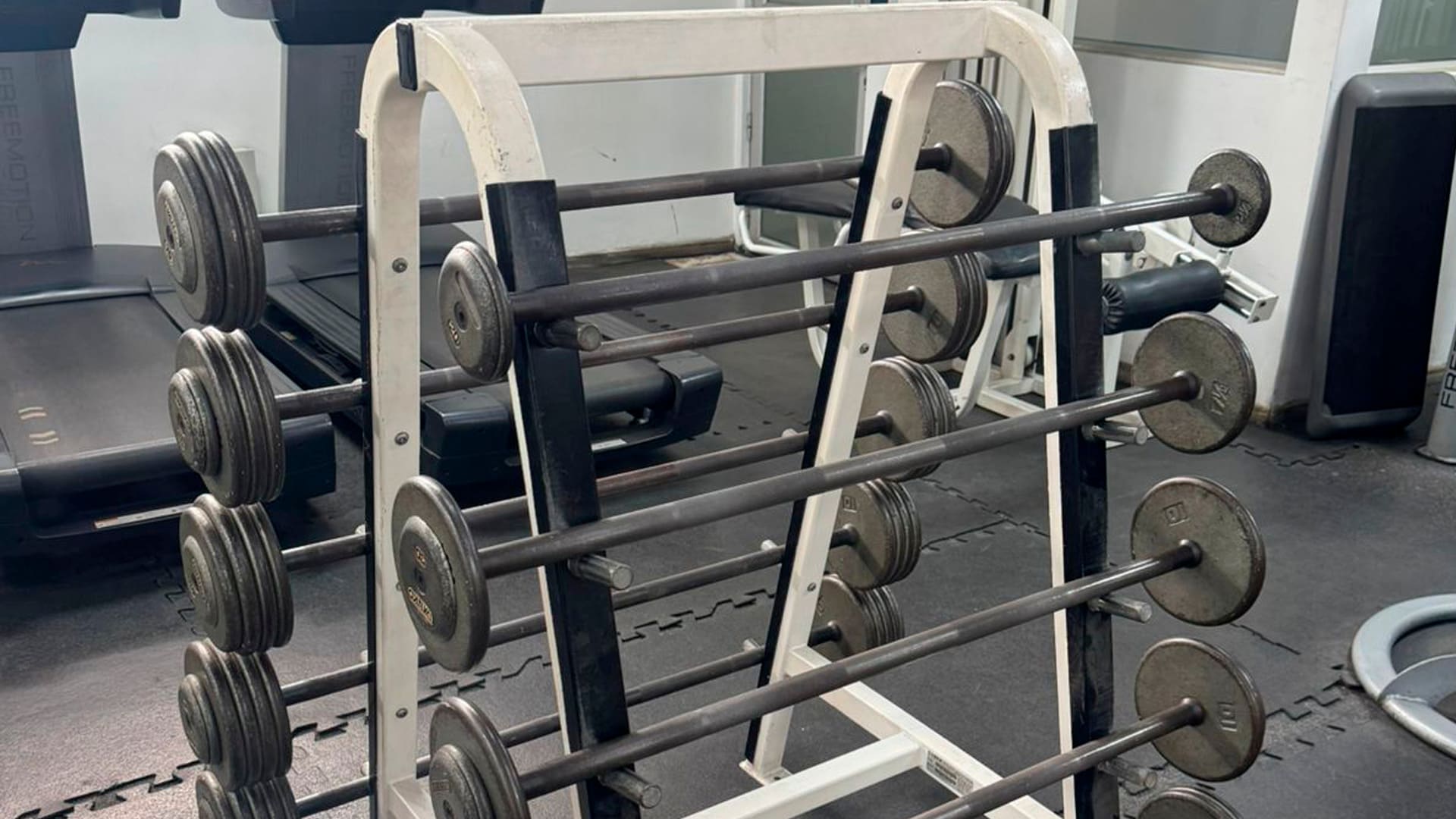 Inauguración canchas de pádel